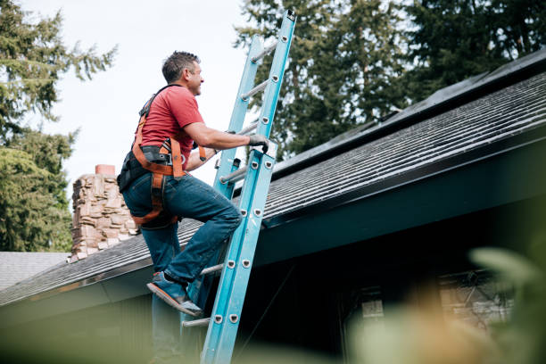 Best Storm Damage Roof Repair  in Greenwood, MS